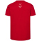 hummel DBU Dänemark 24 EM Champions Fan-Shirt