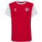 hummel DBU Dänemark 24 Fan-Shirt Kinder
