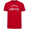 hummel DBU D&auml;nemark 24 EM Champions Fan-Shirt 3365 - tango red S