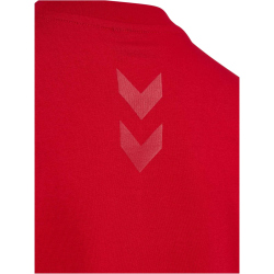 hummel DBU D&auml;nemark 24 EM Champions Fan-Shirt Kinder 3365 - tango red 140