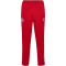 hummel DBU 24 Fan-Trainingshose 3681 - tango red/white S