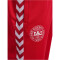hummel DBU 24 Fan-Trainingshose 3681 - tango red/white S