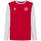 hummel DBU D&auml;nemark 24 langarm Fan-Shirt Kinder 3681 - tango red/white 140