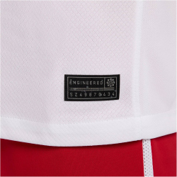 NIKE Polen Dri-FIT Stadium Heimtrikot 2024 Herren