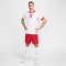 NIKE Polen Dri-FIT Stadium Heimtrikot 2024 Herren