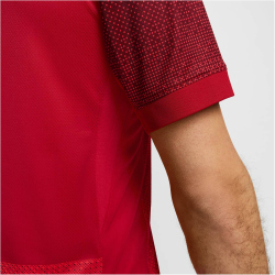 NIKE Polen Dri-FIT Stadium Ausw&auml;rtstrikot 2024 Herren