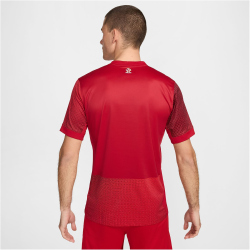 NIKE Polen Dri-FIT Stadium Ausw&auml;rtstrikot 2024 Herren