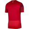 NIKE Polen Dri-FIT Stadium Auswärtstrikot 2024 Herren
