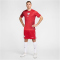 NIKE Polen Dri-FIT Stadium Auswärtstrikot 2024 Herren