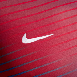 NIKE Kroatien Dri-FIT Academy Pro GX Trikot 2024 Herren