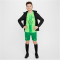 NIKE VfL Wolfsburg Dri-FIT Stadium Heim/Auswärts Shorts Kinder 310 - lucky green/white/sub lime L (147-158 cm)