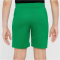 NIKE VfL Wolfsburg Dri-FIT Stadium Heim/Auswärts Shorts Kinder 310 - lucky green/white/sub lime L (147-158 cm)
