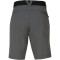 WITEBLAZE Phoenix 1 Shorts Herren