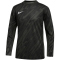 NIKE Gardien V Dri-FIT langarm Torwarttrikot Kinder