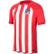 NIKE Atlético Madrid Match Dri-FIT ADV Heimtrikot 2023/24 Herren