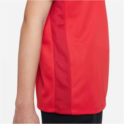 NIKE Academy Dri-FIT Poloshirt Kinder