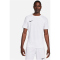 NIKE Dri-FIT ADV Vapor 4 Fußballtrikot Herren