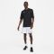 NIKE Dri-FIT Fußballshorts Herren