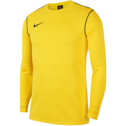 NIKE Park 20 Dri-FIT Langarmshirt Herren 719 - tour yellow/black/black M