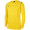 NIKE Park 20 Dri-FIT Langarmshirt Herren 719 - tour yellow/black/black M
