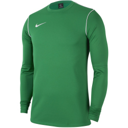 NIKE Park 20 Dri-FIT Langarmshirt Herren 302 - pine...