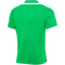 NIKE Academy Pro 24 Dri-FIT Poloshirt Herren 329 - green spark/green spark/white/white M