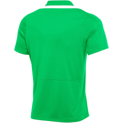 NIKE Academy Pro 24 Dri-FIT Poloshirt Herren 329 - green spark/green spark/white/white XL