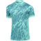 NIKE Dri-FIT Gardien V Torwarttrikot Herren 354 - hyper turq/teal nebula/black M