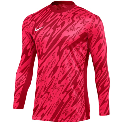 NIKE Gardien V Dri-FIT langarm Torwarttrikot Herren 644 -...
