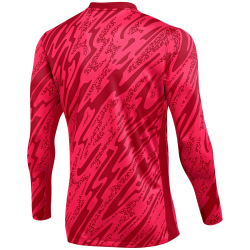 NIKE Gardien V Dri-FIT langarm Torwarttrikot Herren 644 -...