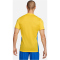 NIKE Park Derby IV Dri-FIT Fu&szlig;balltrikot Herren 720 - tour yellow/royal blue/black S