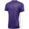 NIKE Park Derby IV Dri-FIT Fußballtrikot Herren 547 - court purple/white/white S