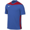 NIKE Park Derby IV Dri-FIT Fu&szlig;balltrikot Herren 464 - royal blue/university red/white S