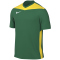 NIKE Park Derby IV Dri-FIT Fu&szlig;balltrikot Herren 303 - pine green/tour yellow/white M
