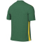 NIKE Park Derby IV Dri-FIT Fu&szlig;balltrikot Herren 303 - pine green/tour yellow/white M