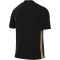 NIKE Park Derby IV Dri-FIT Fußballtrikot Herren 011 - black/jersey gold/white XS