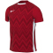 NIKE Dri-FIT Challenge V Fu&szlig;balltrikot Herren 657 - university red/white/white S