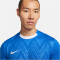 NIKE Challenge V Dri-FIT Fu&szlig;balltrikot Herren 463 - royal blue/white/white S