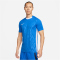 NIKE Dri-FIT Challenge V Fu&szlig;balltrikot Herren 463 - royal blue/white/white S