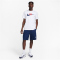 NIKE Paris Saint-Germain Swoosh T-Shirt Herren 100 - white S