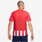 NIKE Atl&eacute;tico Madrid Match Dri-FIT ADV Heimtrikot 2023/24 Herren 613 - sport red/global red/white/old royal XS