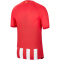 NIKE Atl&eacute;tico Madrid Match Dri-FIT ADV Heimtrikot 2023/24 Herren 613 - sport red/global red/white/old royal XS
