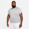 NIKE Dri-FIT Legend Fitness T-Shirt Herren 063 - tumbled grey/flt silver/htr/black S