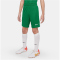 NIKE League III Dri-FIT Knit Fu&szlig;ballshorts Kinder 302 - pine green/white/white XS (122-128 cm)