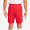 NIKE Dri-FIT ADV Vapor 4 Fu&szlig;ballshorts Herren 657 - university red/bright crimson/white S