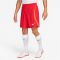 NIKE Dri-FIT ADV Vapor 4 Fu&szlig;ballshorts Herren 657 - university red/bright crimson/white XXL