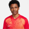 NIKE Dri-FIT Precision 6 Fu&szlig;balltrikot Herren 657 - university red/bright citrus/white S
