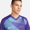 NIKE Dri-FIT Precision 6 Fu&szlig;balltrikot Herren 547 - court purple/chlorine blue/white XL