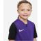 NIKE Dri-FIT Trophy 5 Fußballtrikot Kinder 547 - court purple/black/black/white XS (122-128 cm)