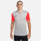 NIKE Dri-FIT Trophy 5 Fu&szlig;balltrikot Herren 052 - pewter grey/bright crimson/black S